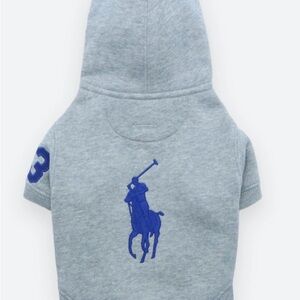 Polo by Ralph Lauren Kids Light Gray Hoodie with Blue Logo